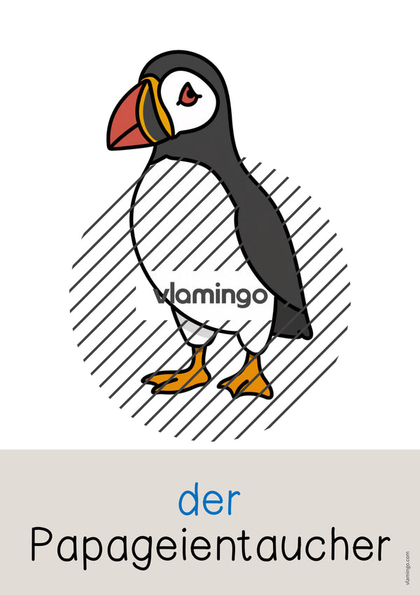 de deutsch zootiere wort und bildkarten 054