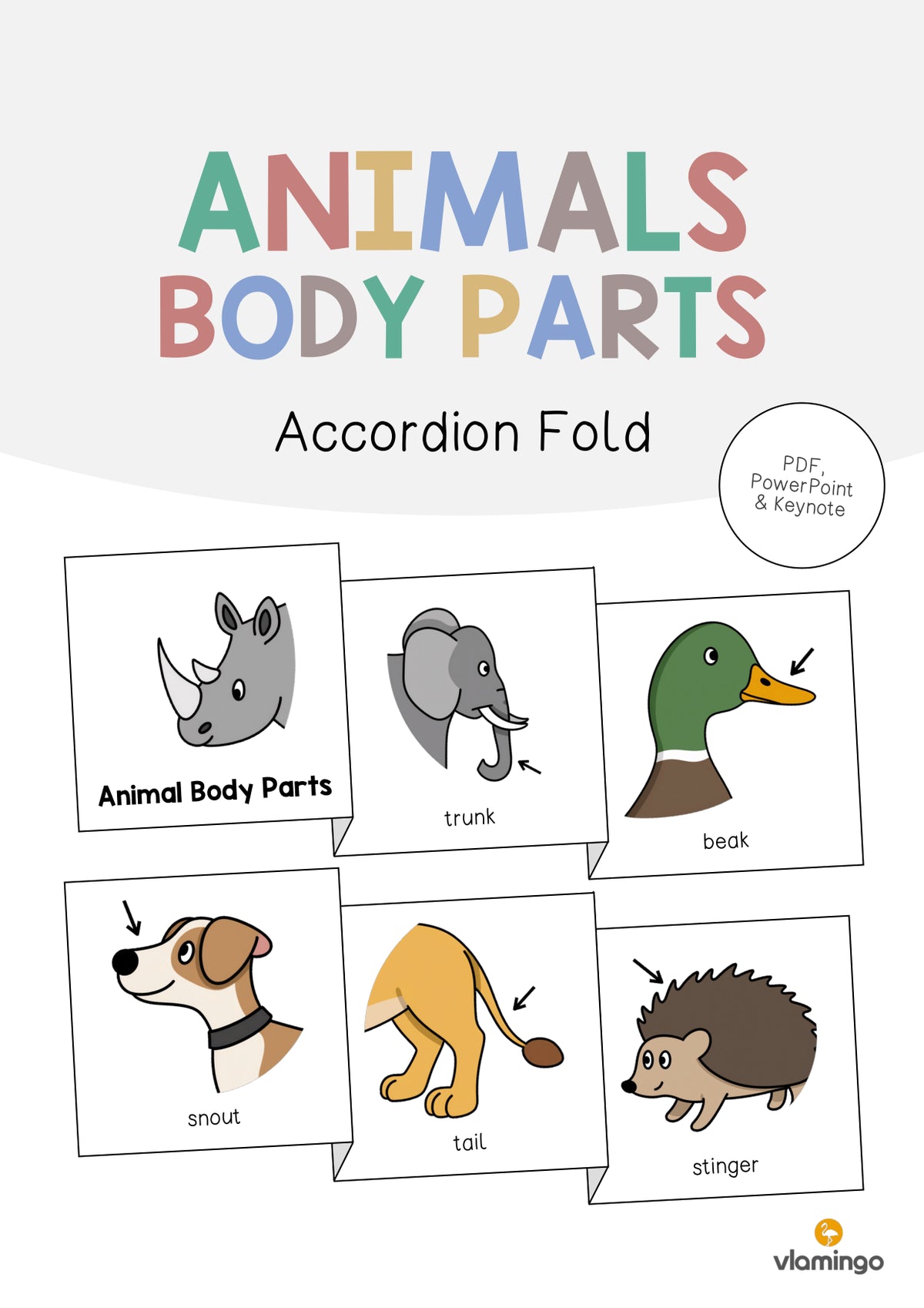 de englisch animal body parts accordion fold 001