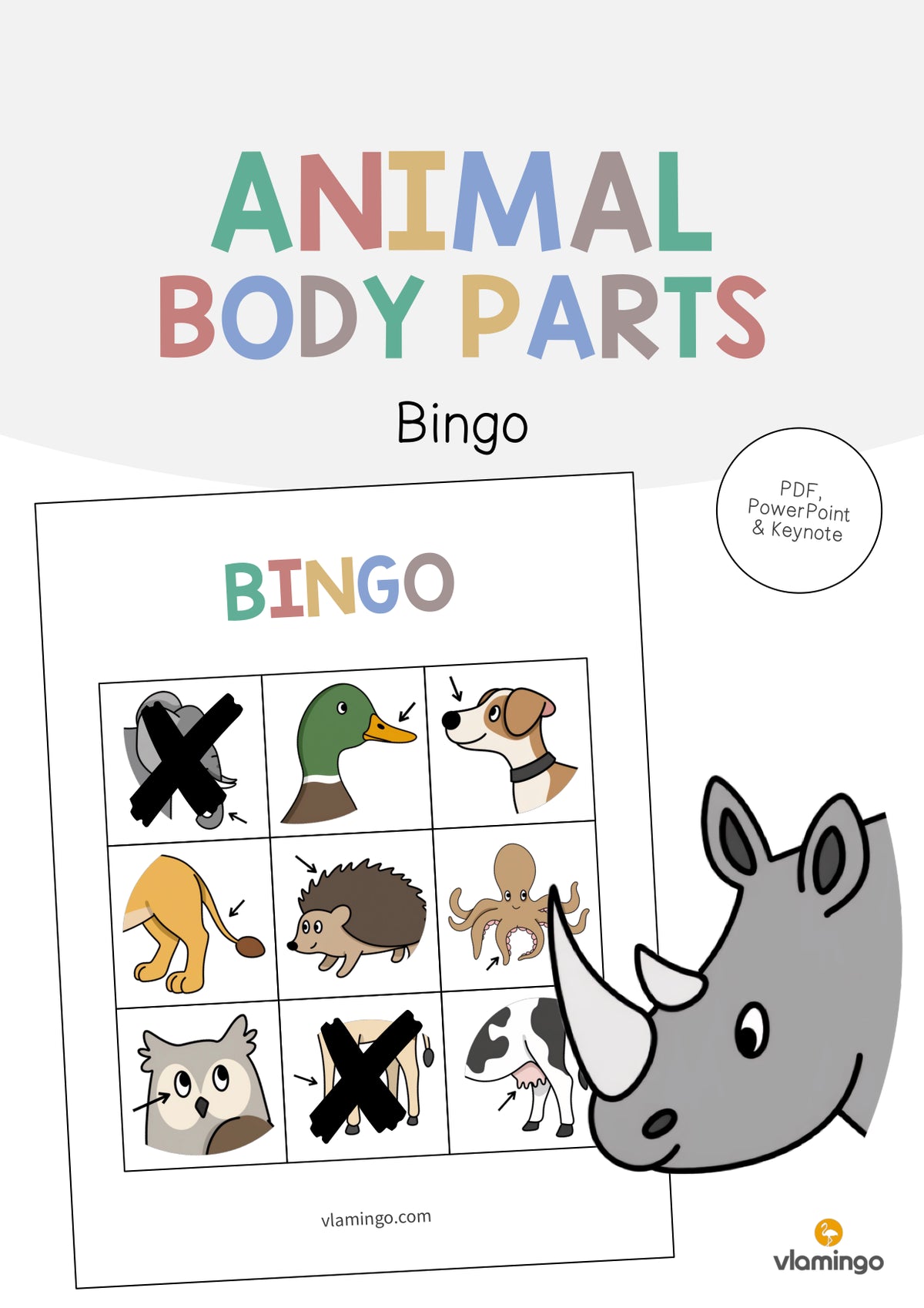 de englisch animal body parts bingo 001