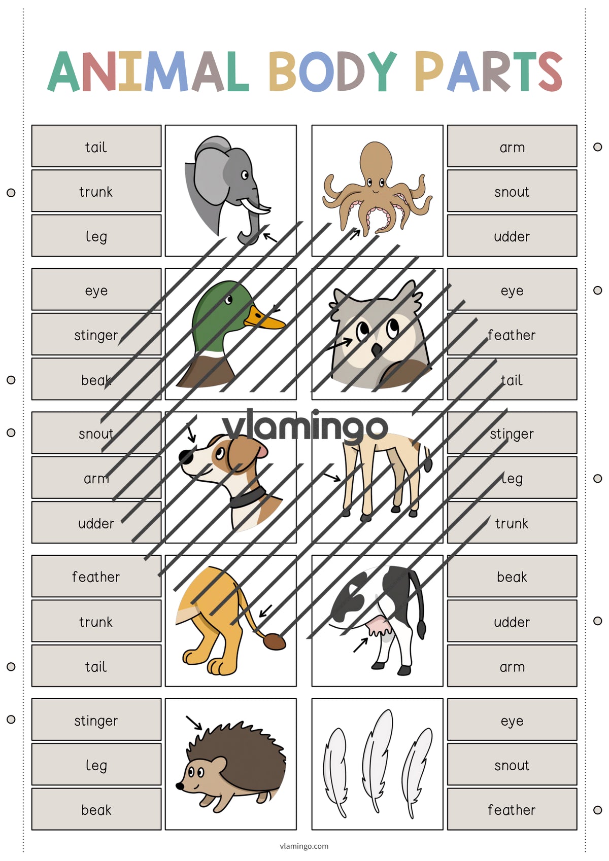 de englisch animal body parts clip cards 003