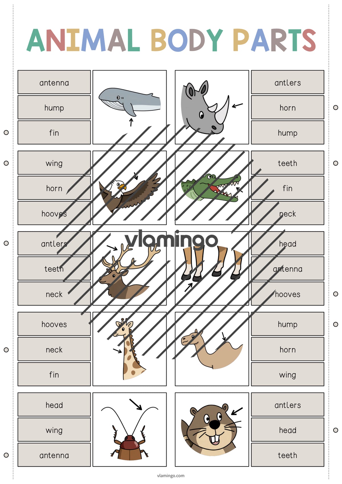 de englisch animal body parts clip cards 004