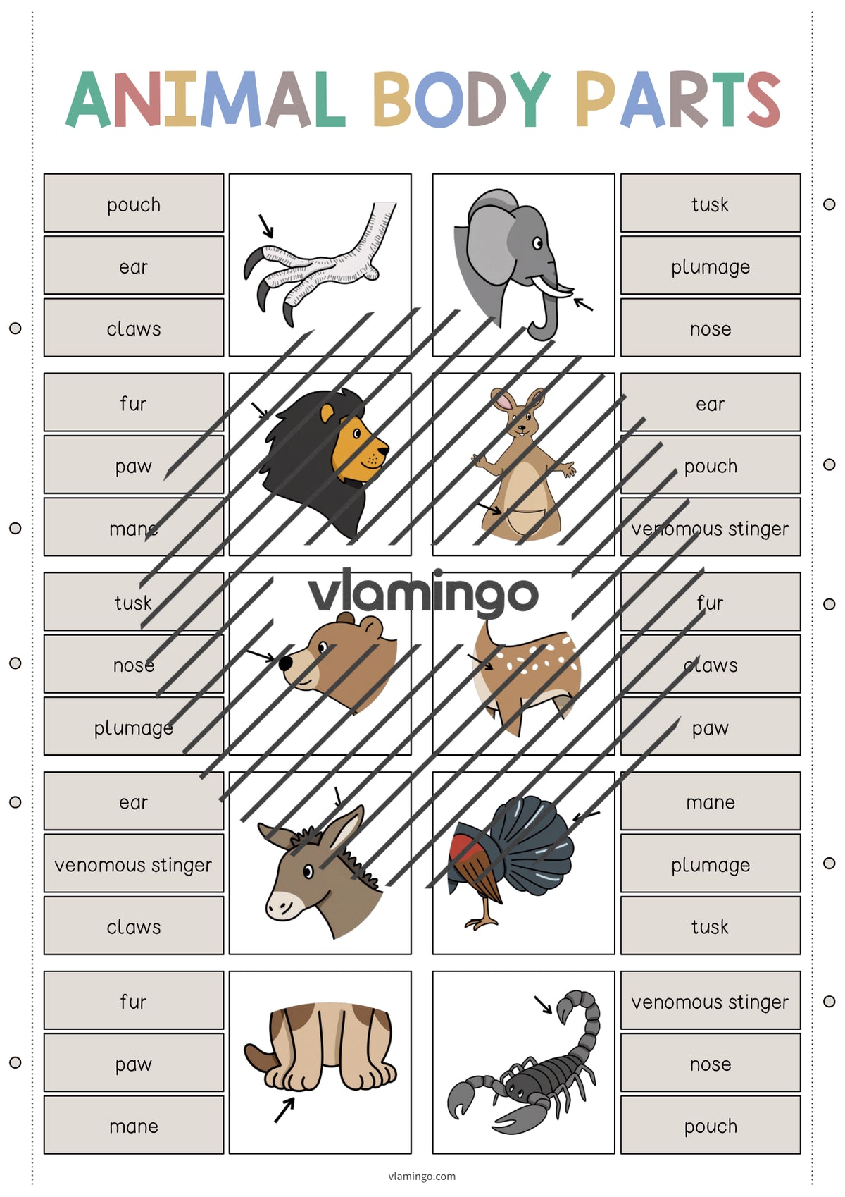 de englisch animal body parts clip cards 005