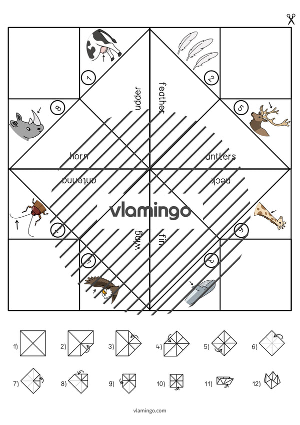 de englisch animal body parts cootie catcher 006