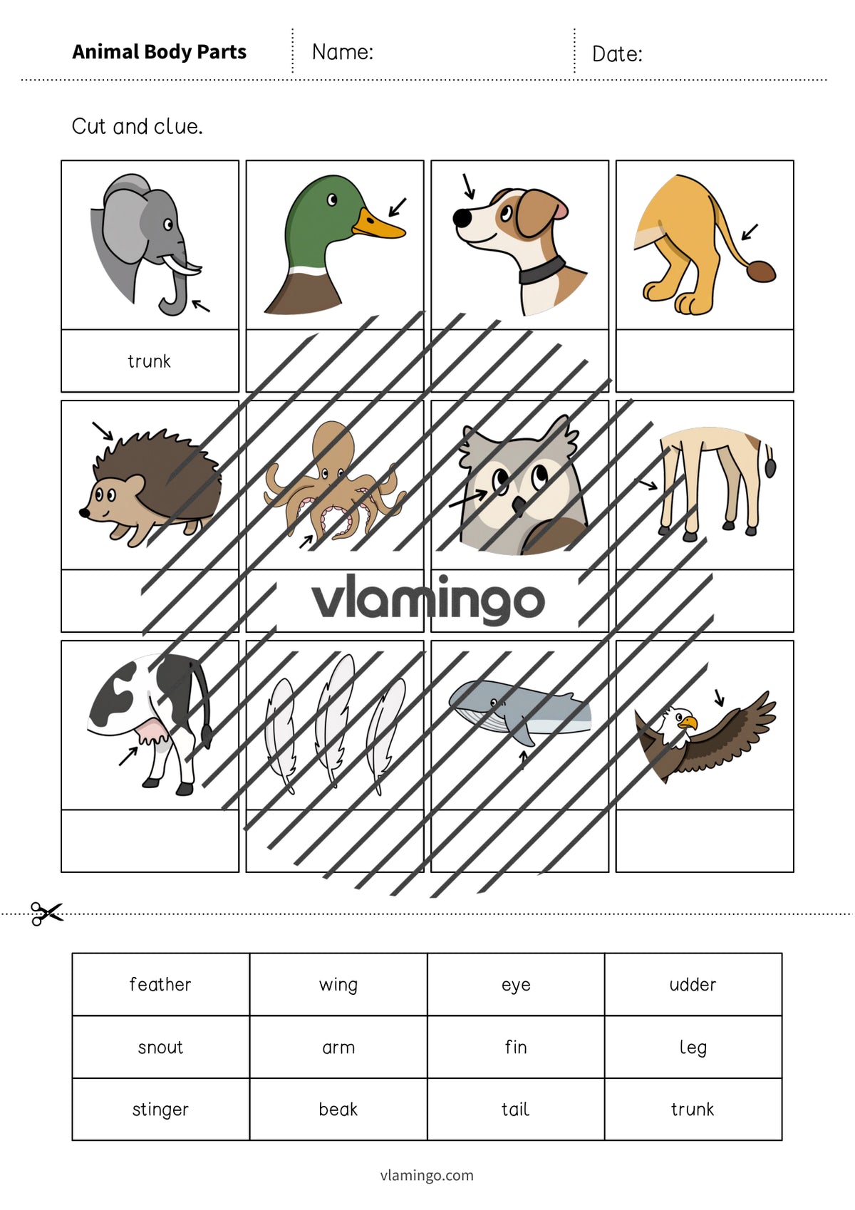 de englisch animal body parts cut and glue 003