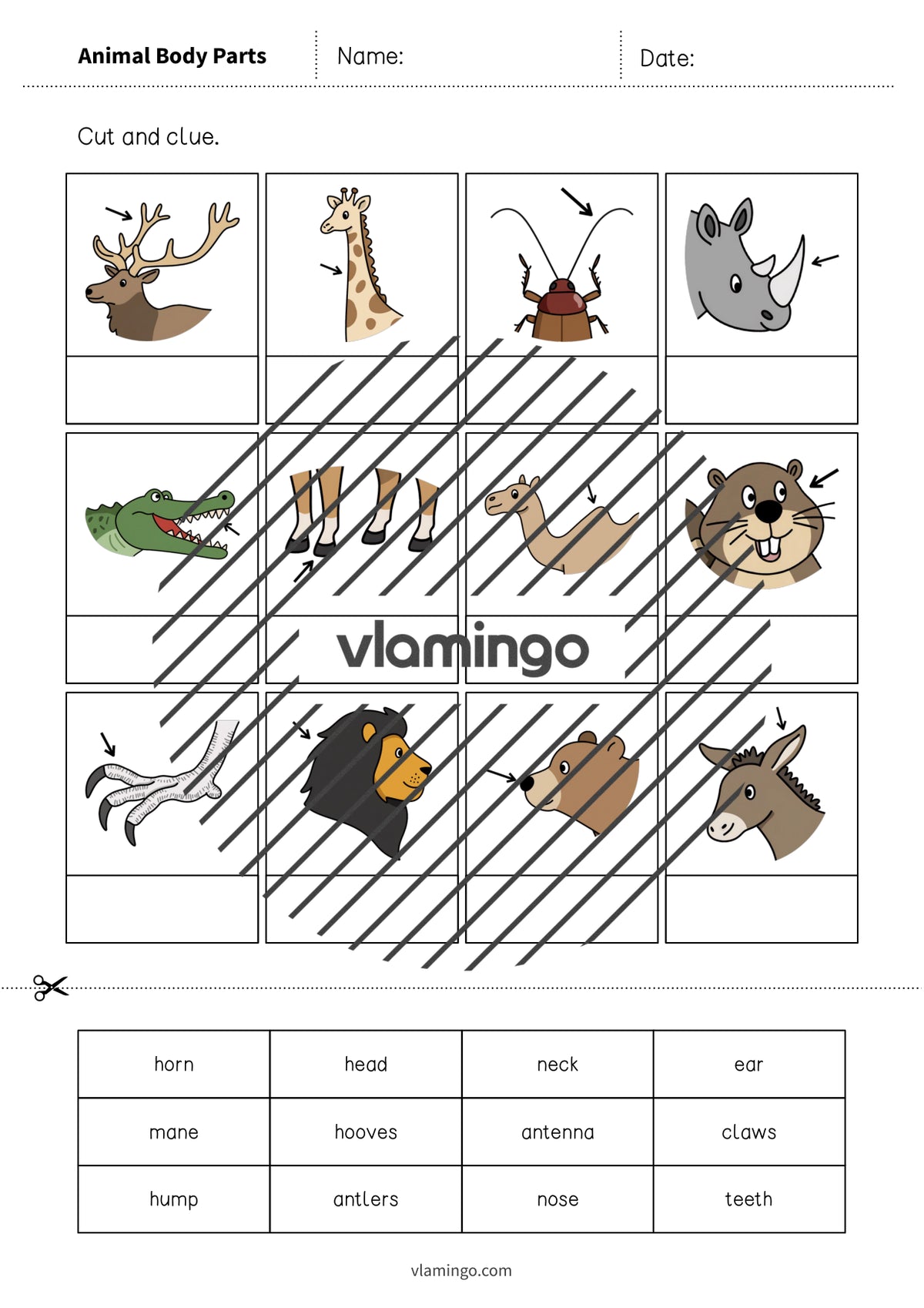 de englisch animal body parts cut and glue 004