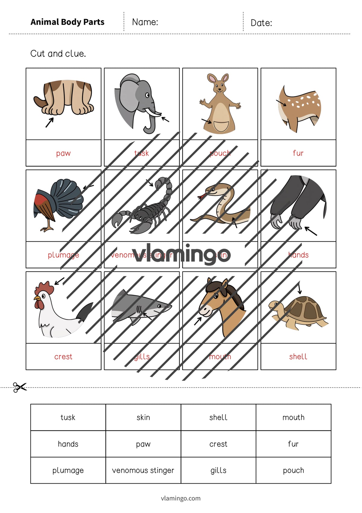 de englisch animal body parts cut and glue 009
