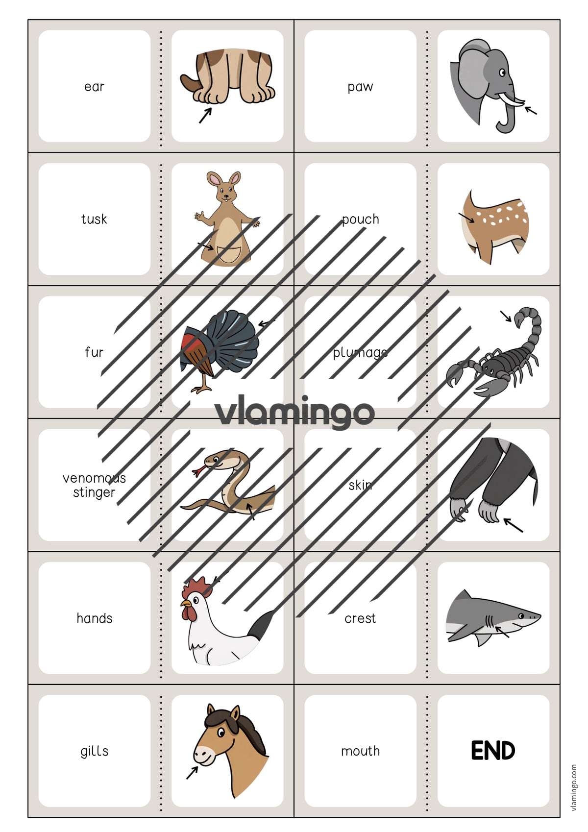de englisch animal body parts domino 005
