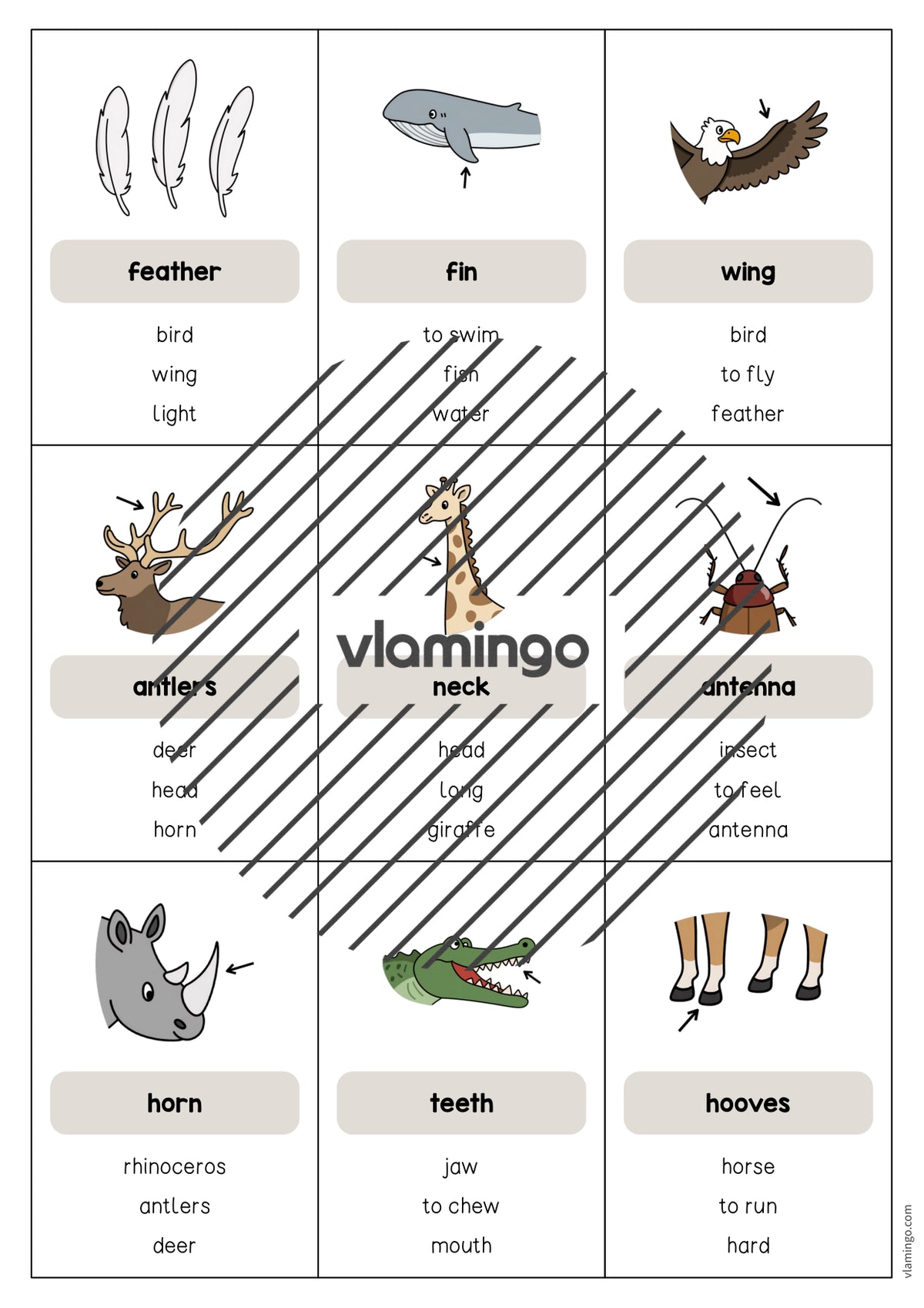 de englisch animal body parts dont say it 004