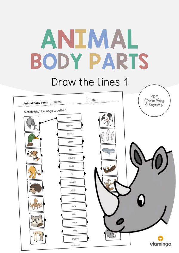 de englisch animal body parts draw the lines 1 001