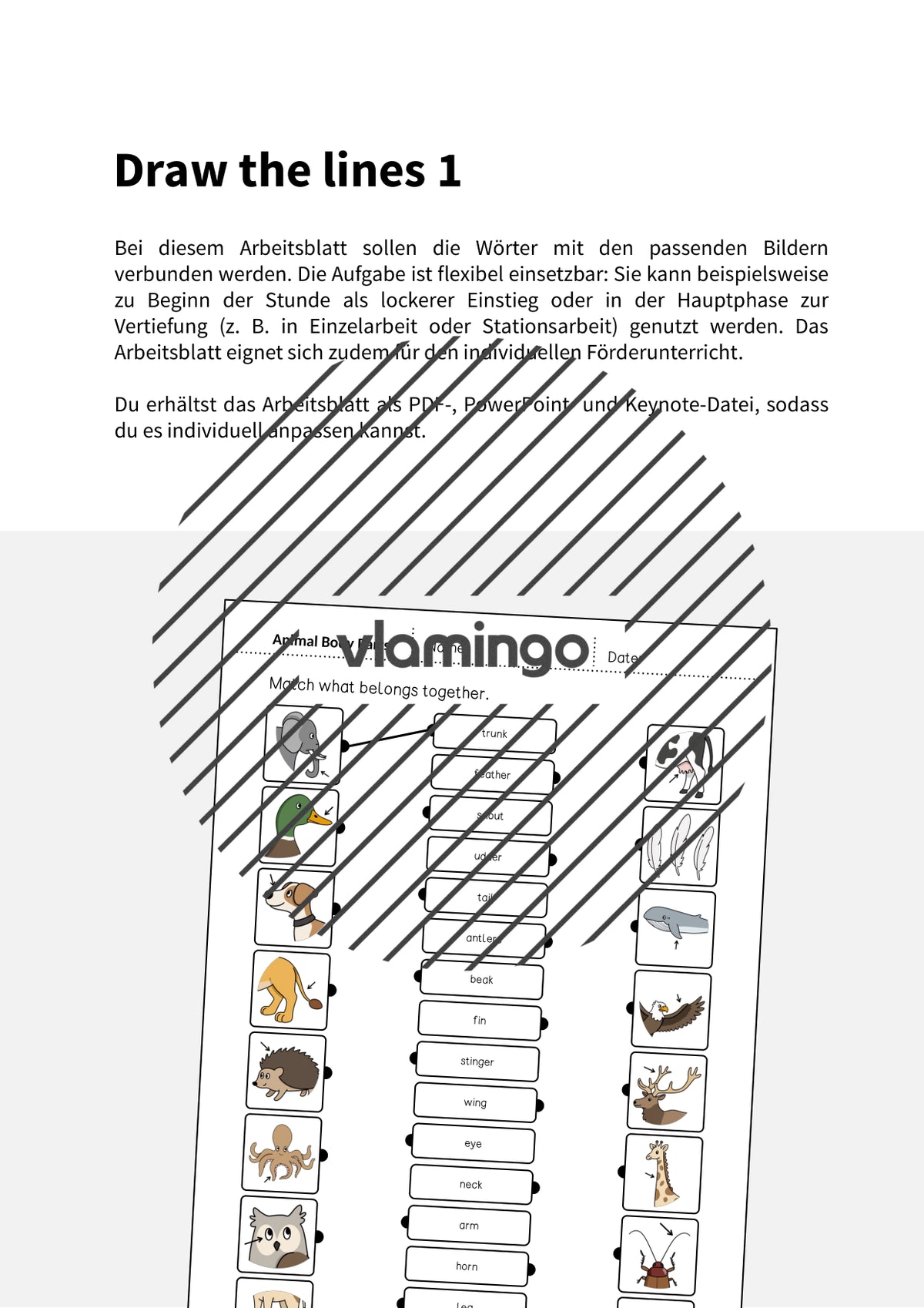 de englisch animal body parts draw the lines 1 002