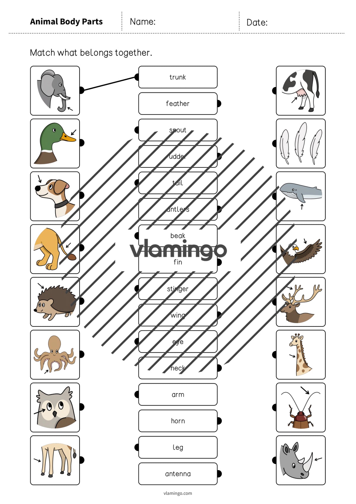 de englisch animal body parts draw the lines 1 003