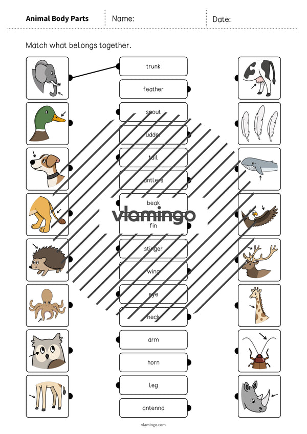 de englisch animal body parts draw the lines 1 003