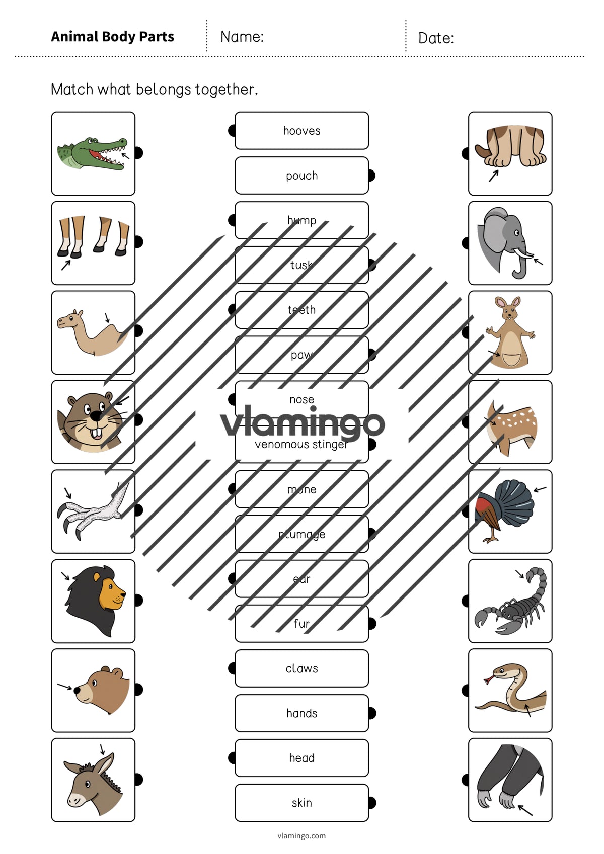 de englisch animal body parts draw the lines 1 004