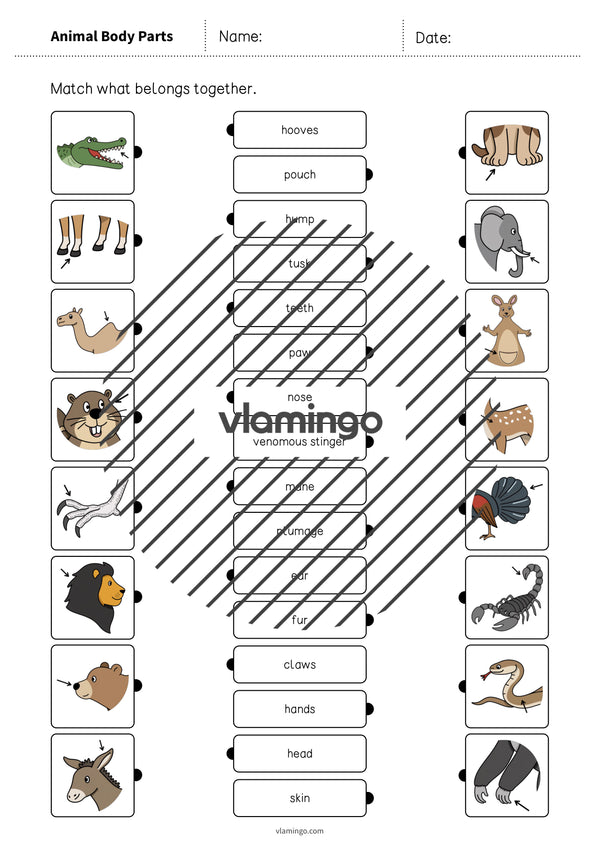 de englisch animal body parts draw the lines 1 004