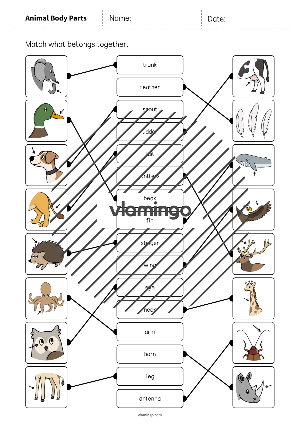de englisch animal body parts draw the lines 1 006