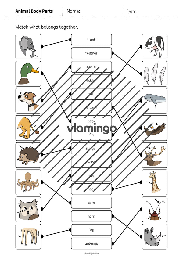 de englisch animal body parts draw the lines 1 006