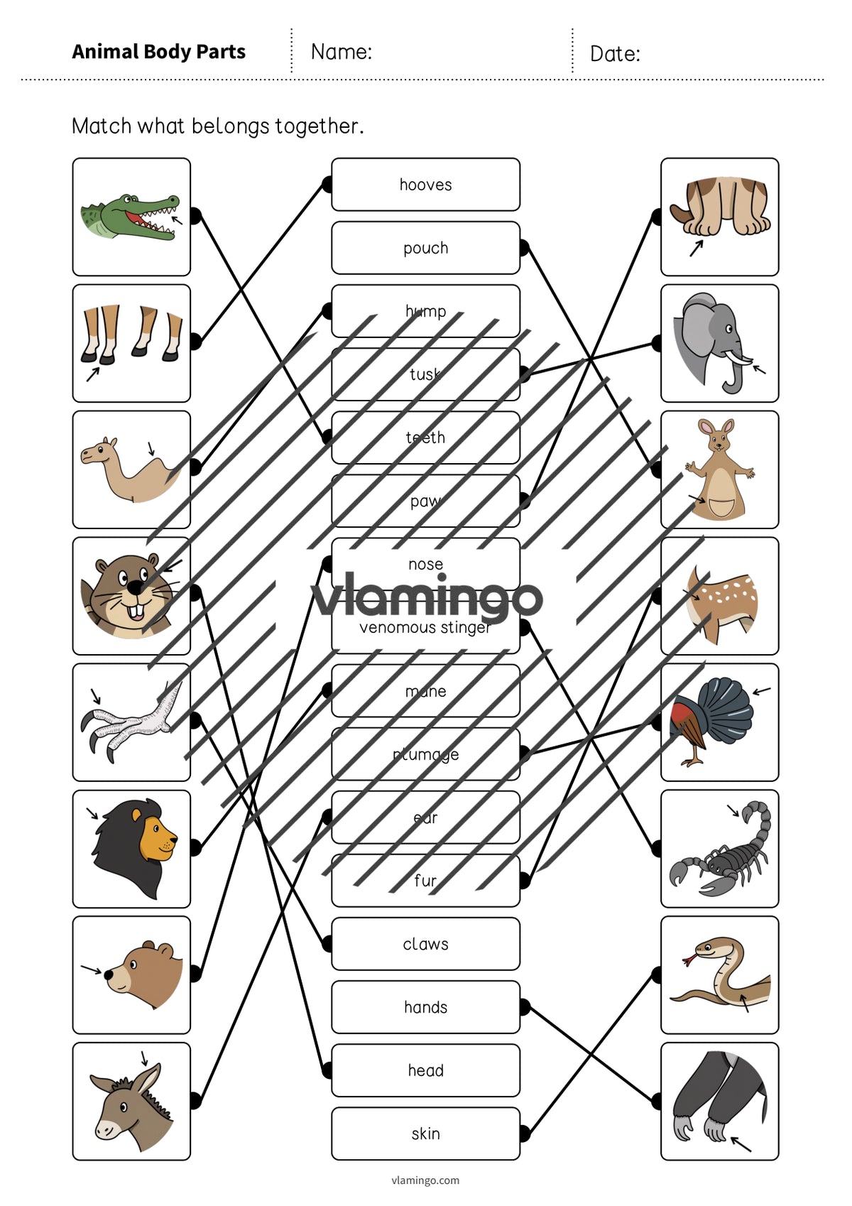de englisch animal body parts draw the lines 1 007