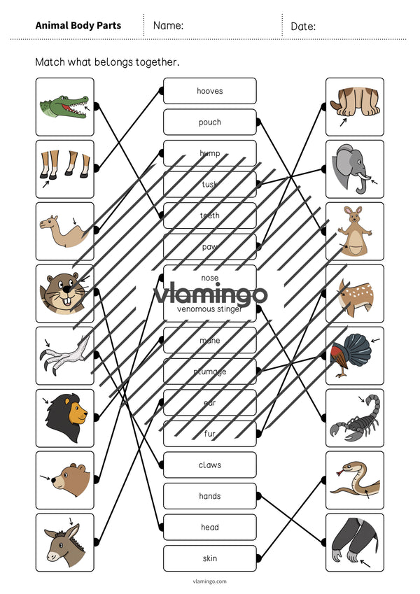 de englisch animal body parts draw the lines 1 007