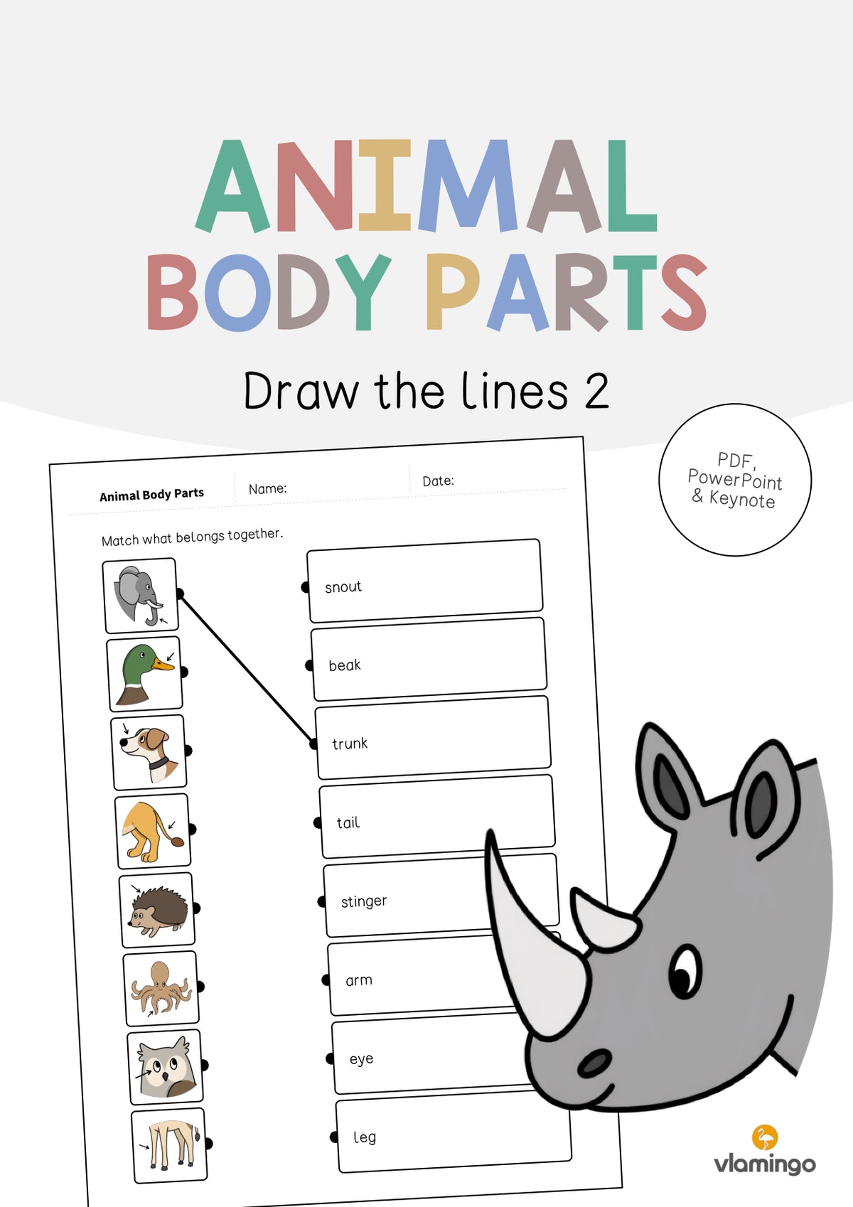 de englisch animal body parts draw the lines 2 001