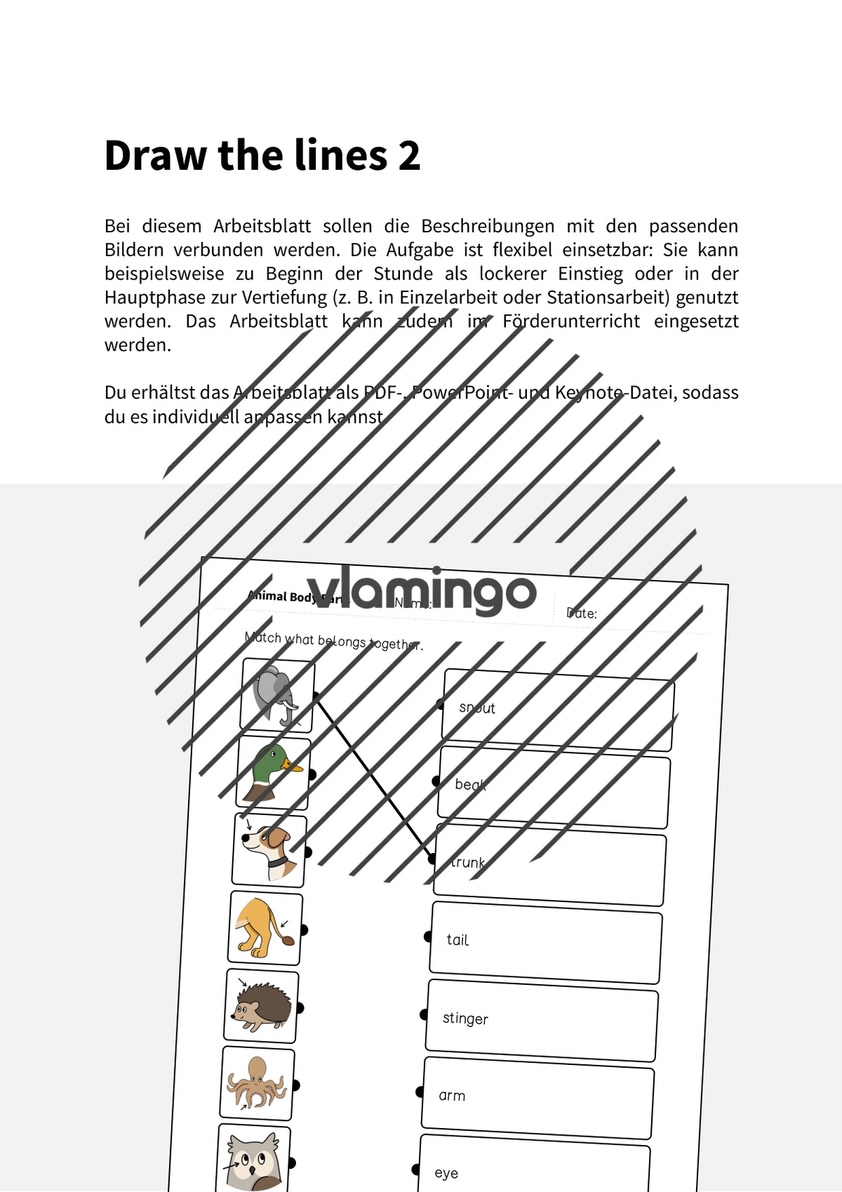 de englisch animal body parts draw the lines 2 002