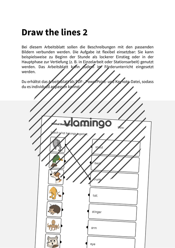 de englisch animal body parts draw the lines 2 002