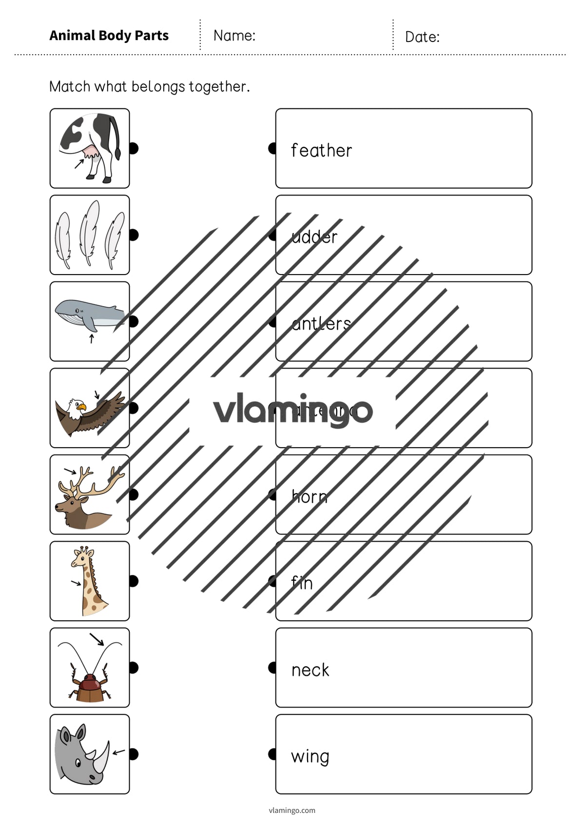 de englisch animal body parts draw the lines 2 004