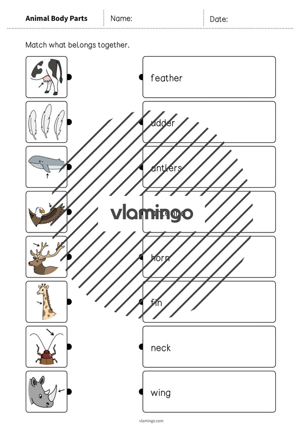 de englisch animal body parts draw the lines 2 004