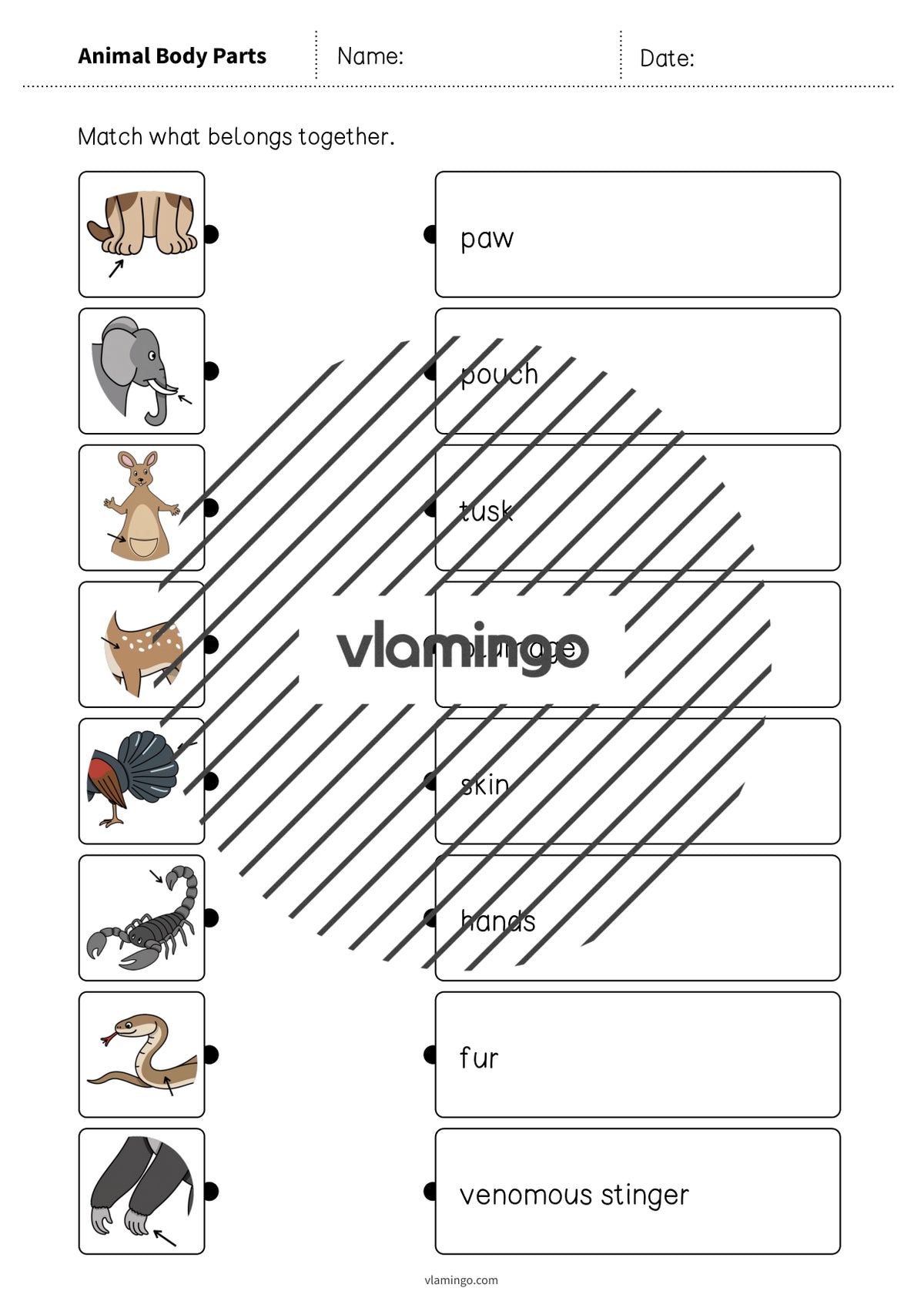 de englisch animal body parts draw the lines 2 006