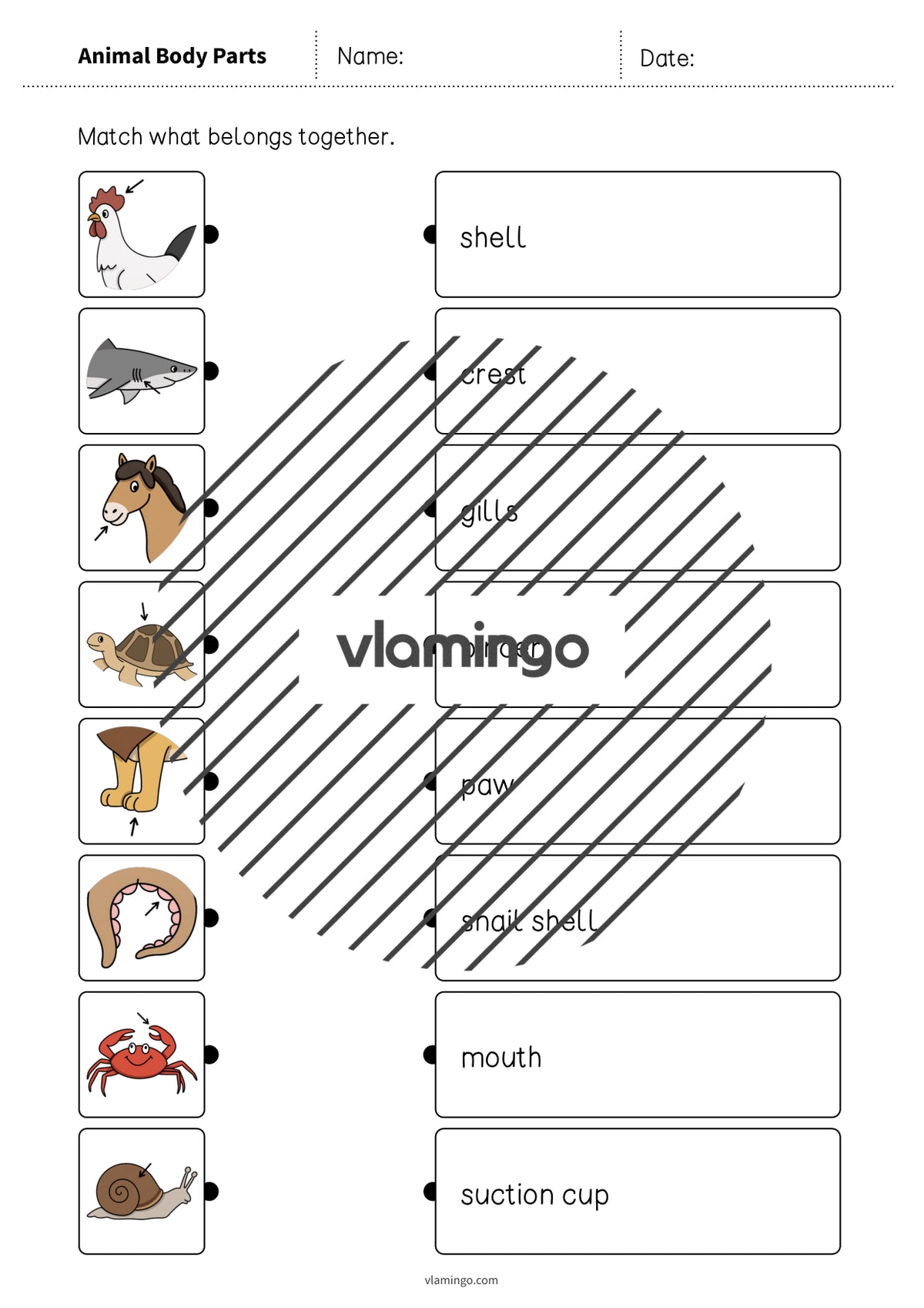 de englisch animal body parts draw the lines 2 007