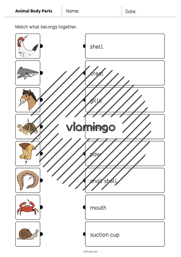 de englisch animal body parts draw the lines 2 007
