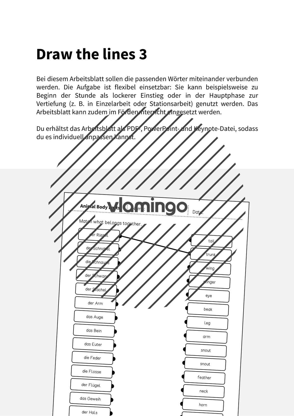de englisch animal body parts draw the lines 3 002