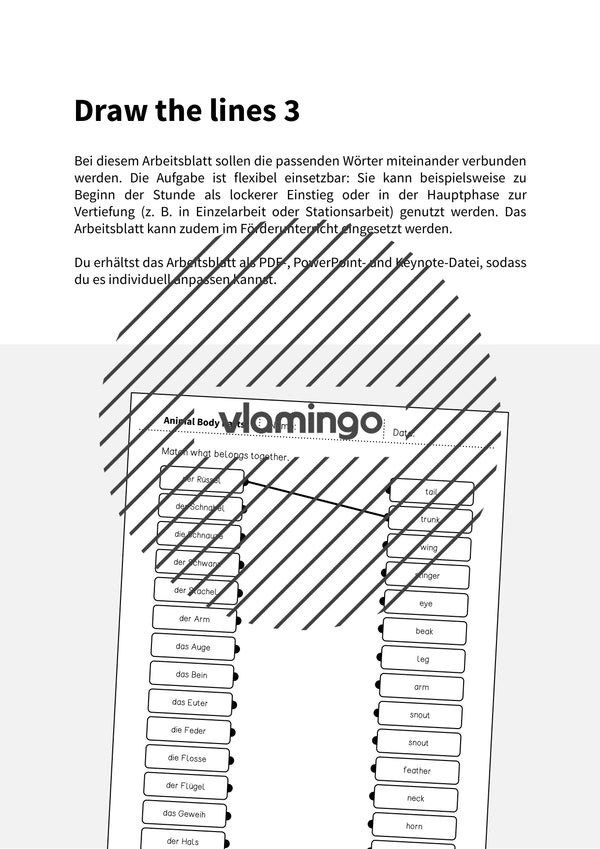 de englisch animal body parts draw the lines 3 002