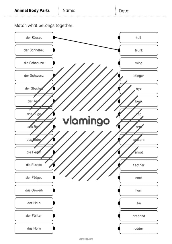 de englisch animal body parts draw the lines 3 003