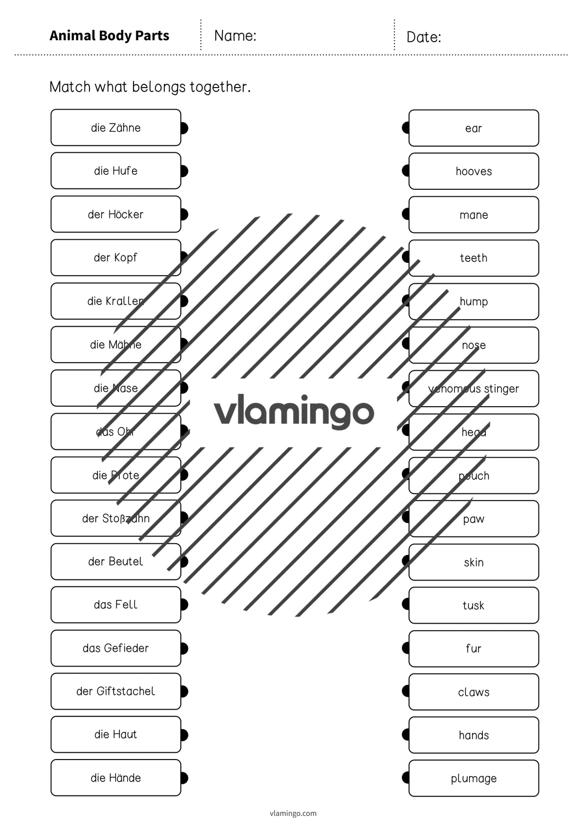 de englisch animal body parts draw the lines 3 004