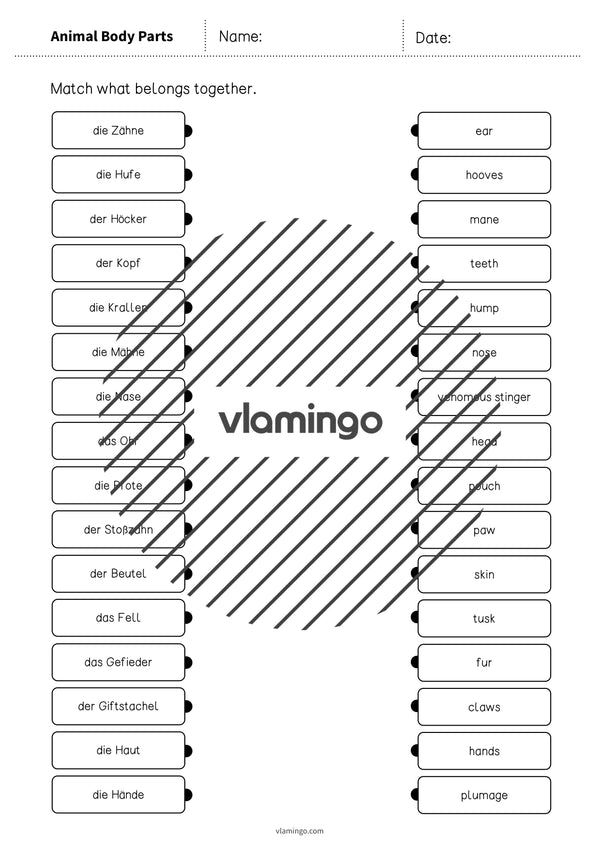 de englisch animal body parts draw the lines 3 004