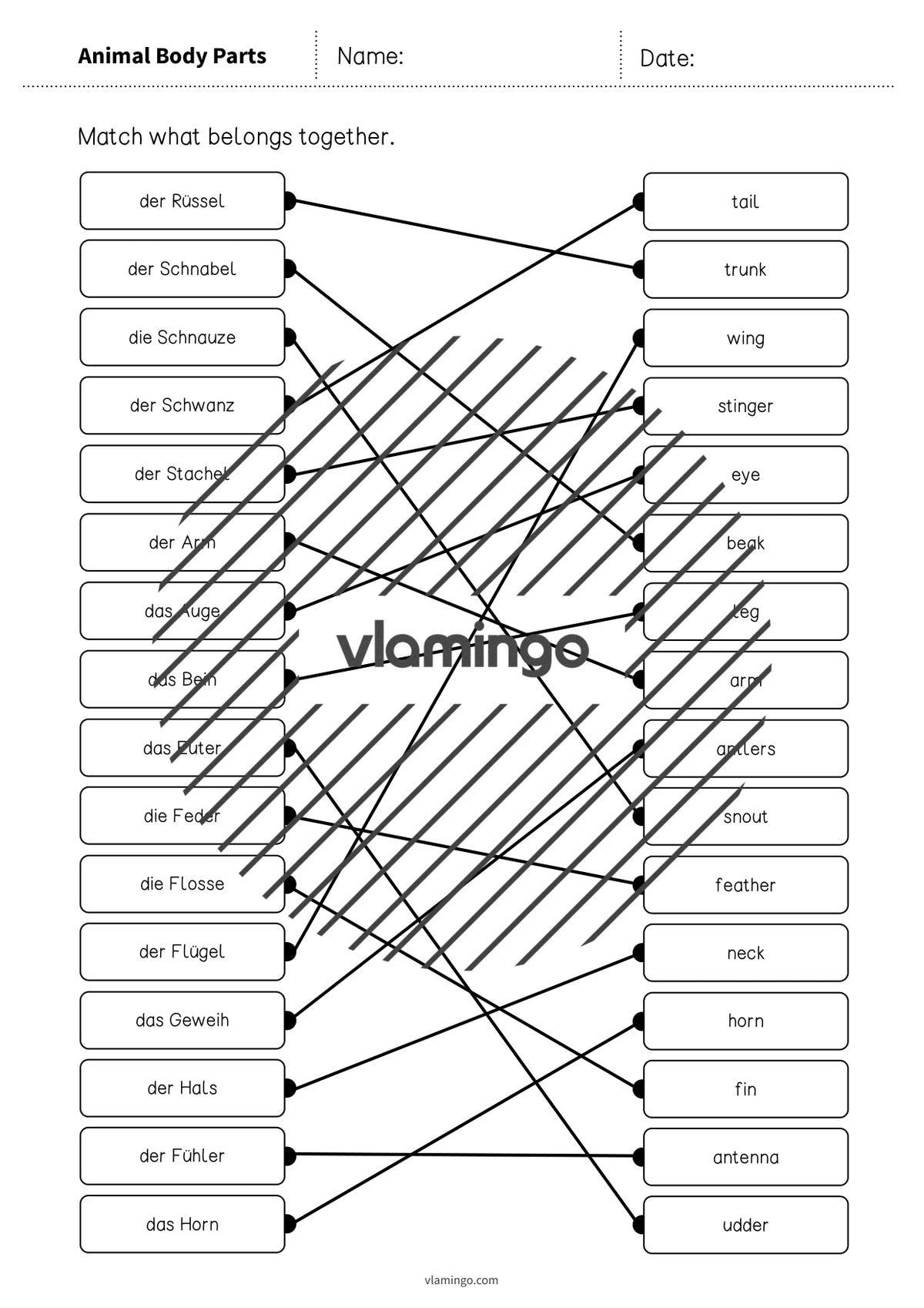 de englisch animal body parts draw the lines 3 006