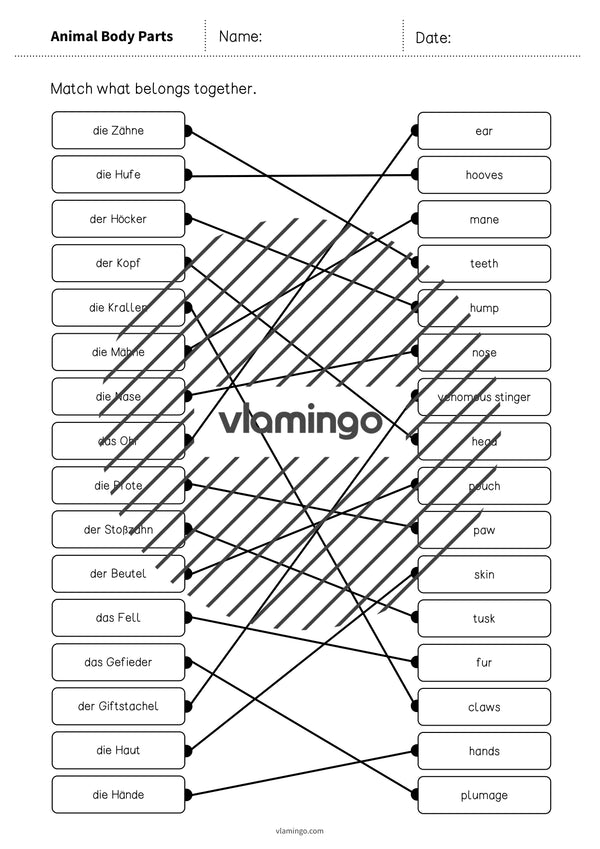 de englisch animal body parts draw the lines 3 007