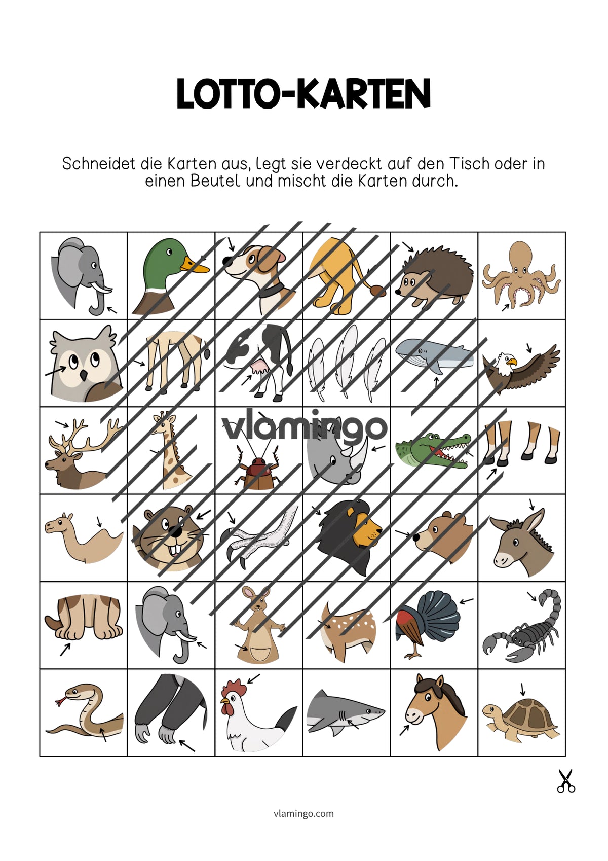 de englisch animal body parts education lotto 003