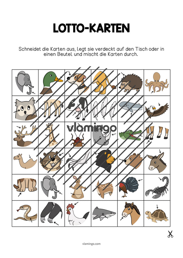 de englisch animal body parts education lotto 003