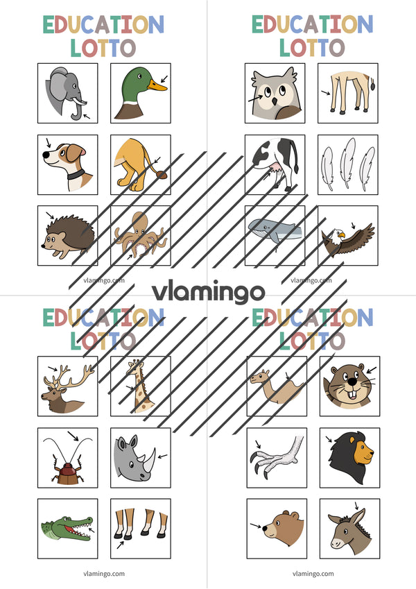de englisch animal body parts education lotto 004