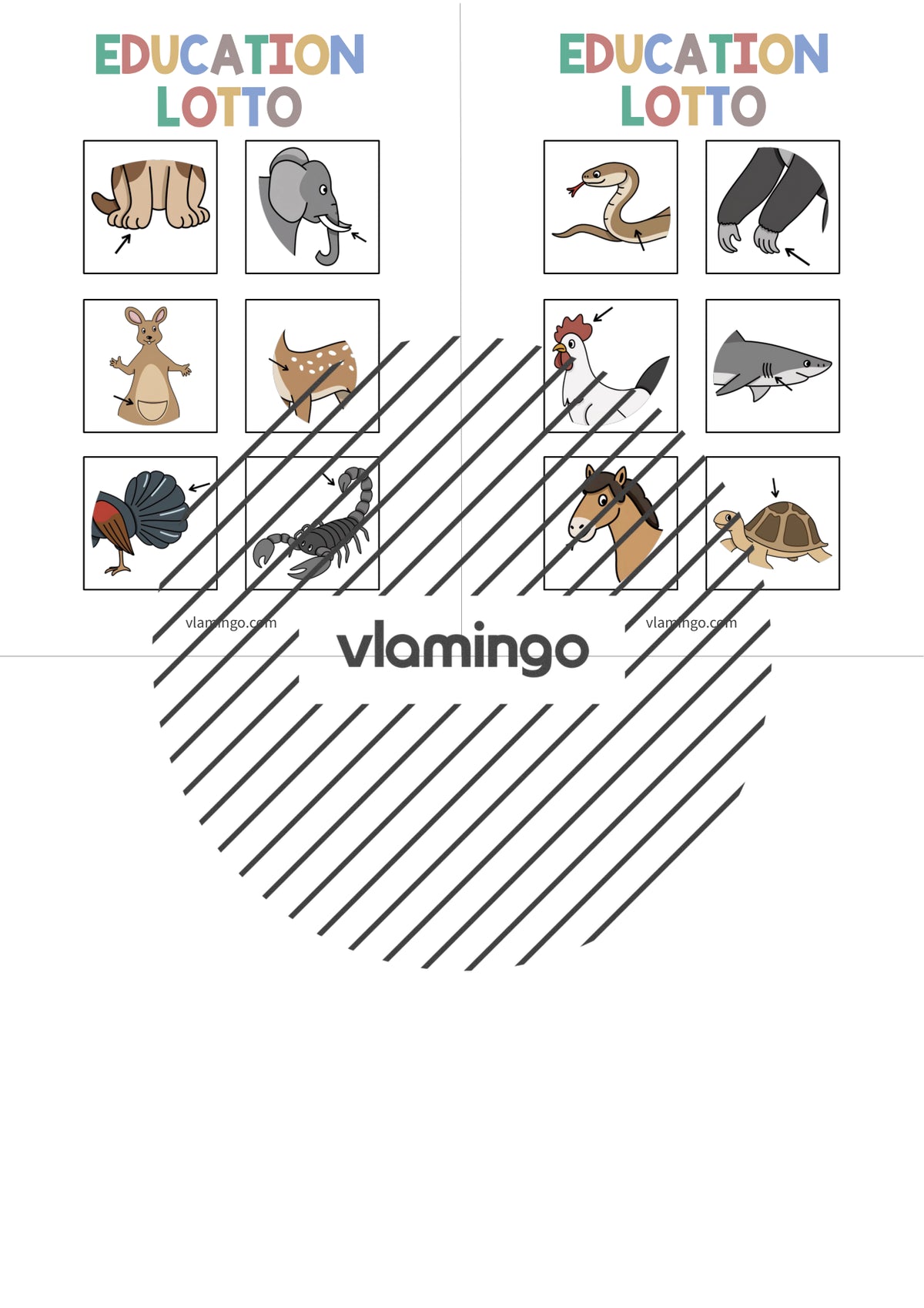 de englisch animal body parts education lotto 005