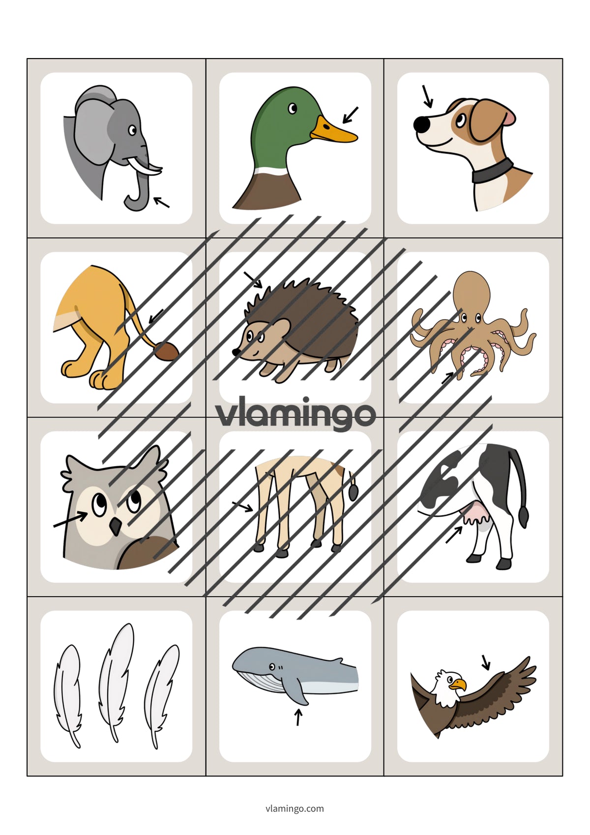 de englisch animal body parts floppi 003