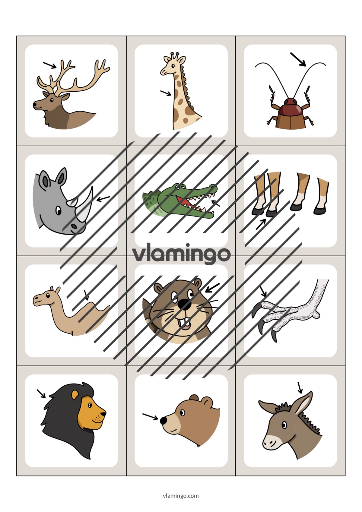 de englisch animal body parts floppi 004