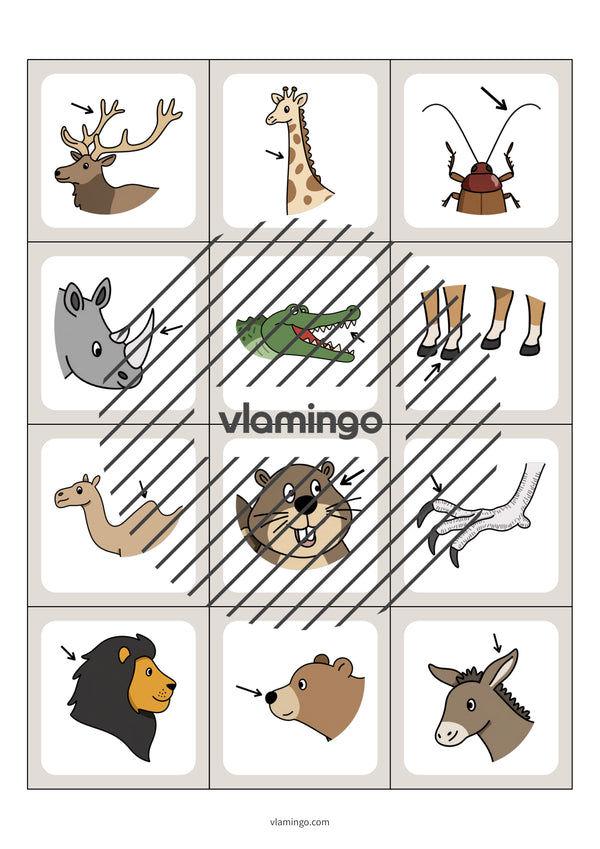 de englisch animal body parts floppi 004
