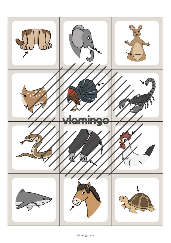 de englisch animal body parts floppi 005