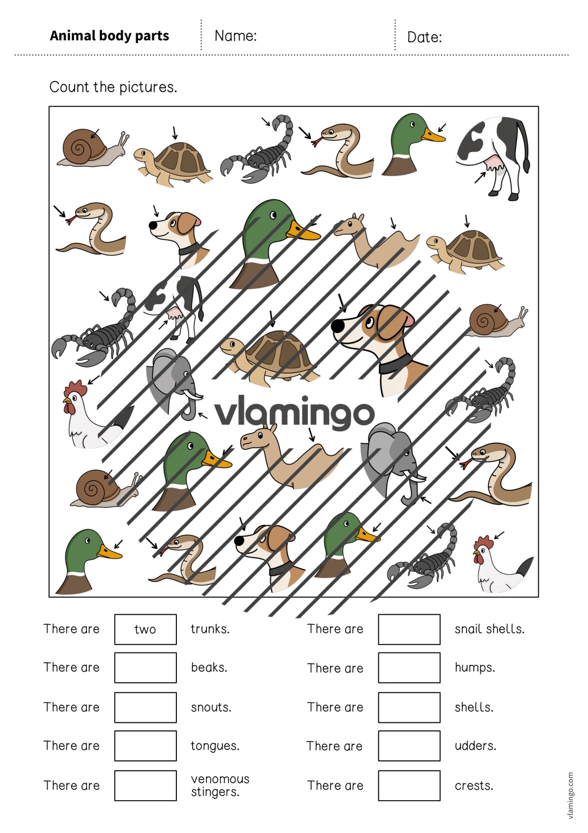 de englisch animal body parts how many worksheet 004
