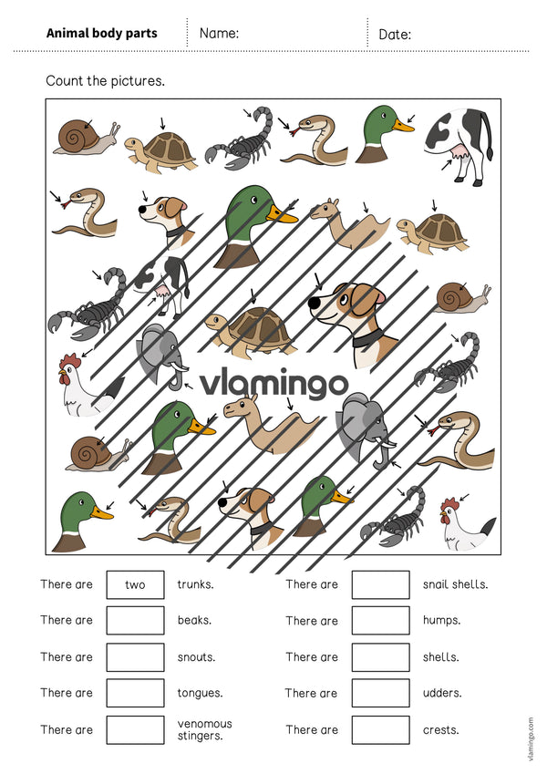 de englisch animal body parts how many worksheet 004
