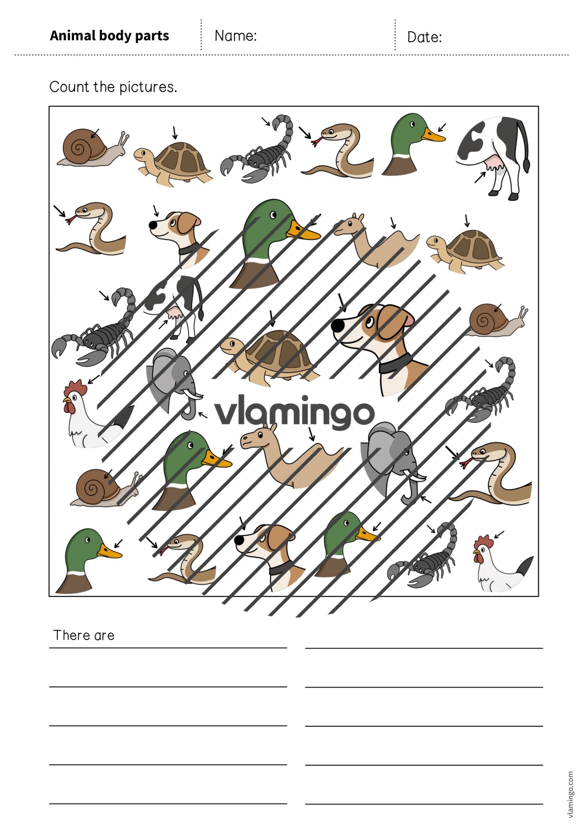 de englisch animal body parts how many worksheet 006