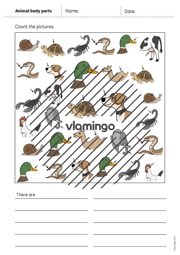 de englisch animal body parts how many worksheet 006