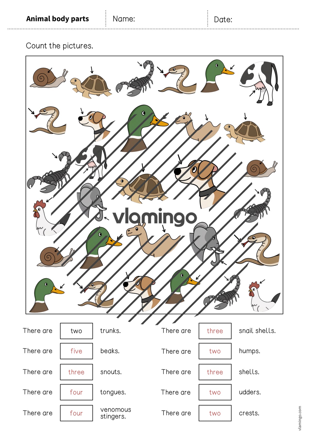 de englisch animal body parts how many worksheet 008